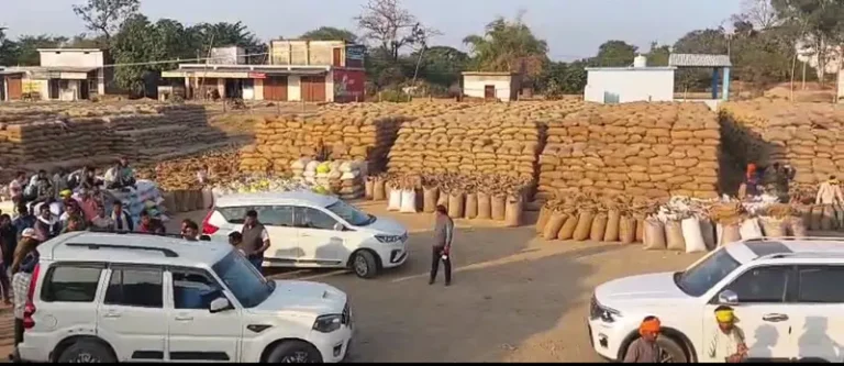 a7edbdd136023697d9af04c809e373528c834661d2a856f4db191358dac2b9c1.0